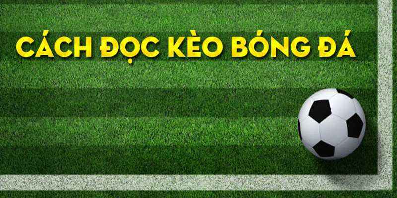 Cách đọc kèo bóng đá dựa vào bảng tỷ lệ đến từ nhà cái