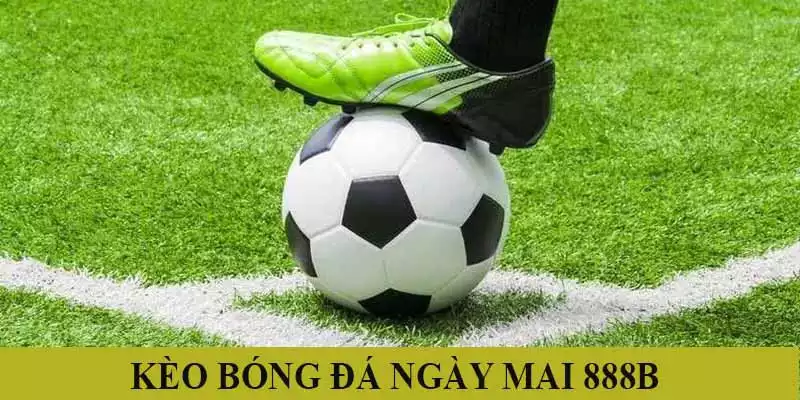 Soi kèo bóng đá Tây Ban Nha thường xuyên